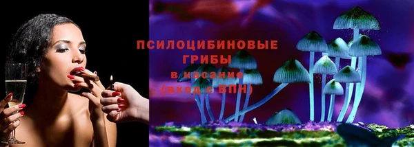 индика Армянск