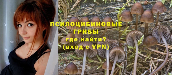 гашик Алексин